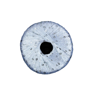 Paillettes <br> (100% Poliéster con Lentejuelas)