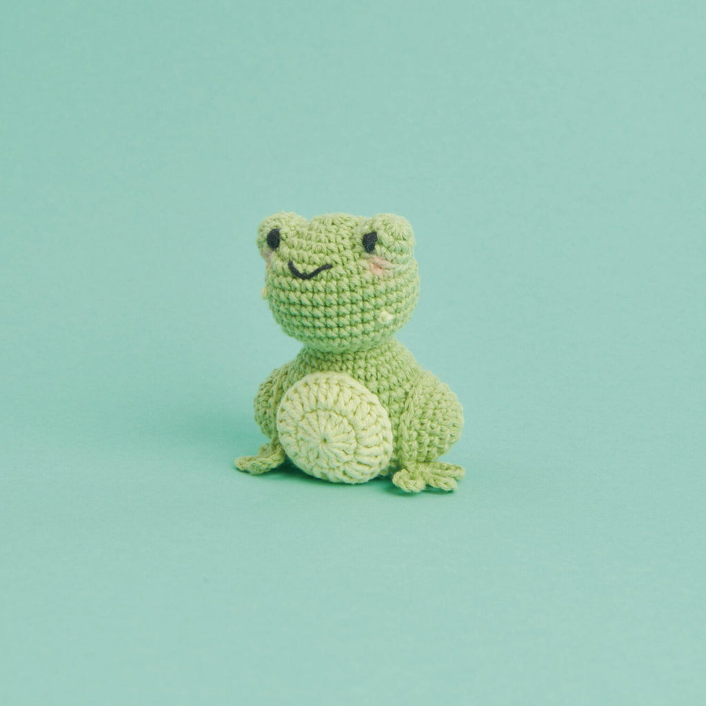 Kit de Tejido Amigurumi "Mini Easy" <br> Ranita