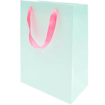 Bolsa de Regalo Grande  Menta