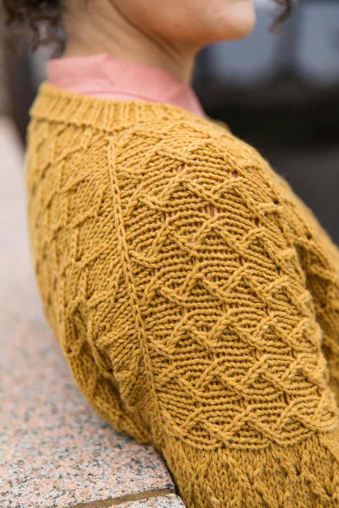 Libro "Entwined: Cables, Lace and Knitted Textures" <br> Meiju Kallio