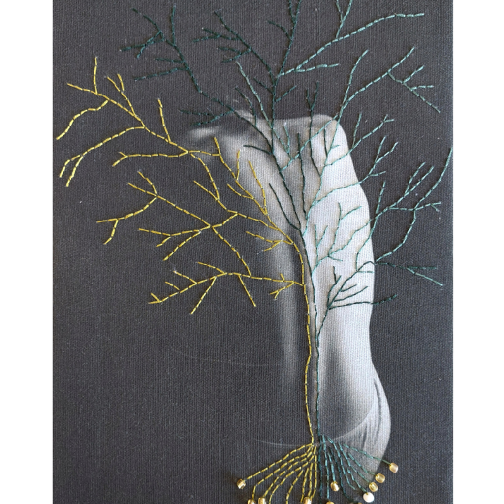 Taller Mensual de Foto-bordado Textil (Abril 2026) <br> con Rosario Castillo de Mirándola a la Cara