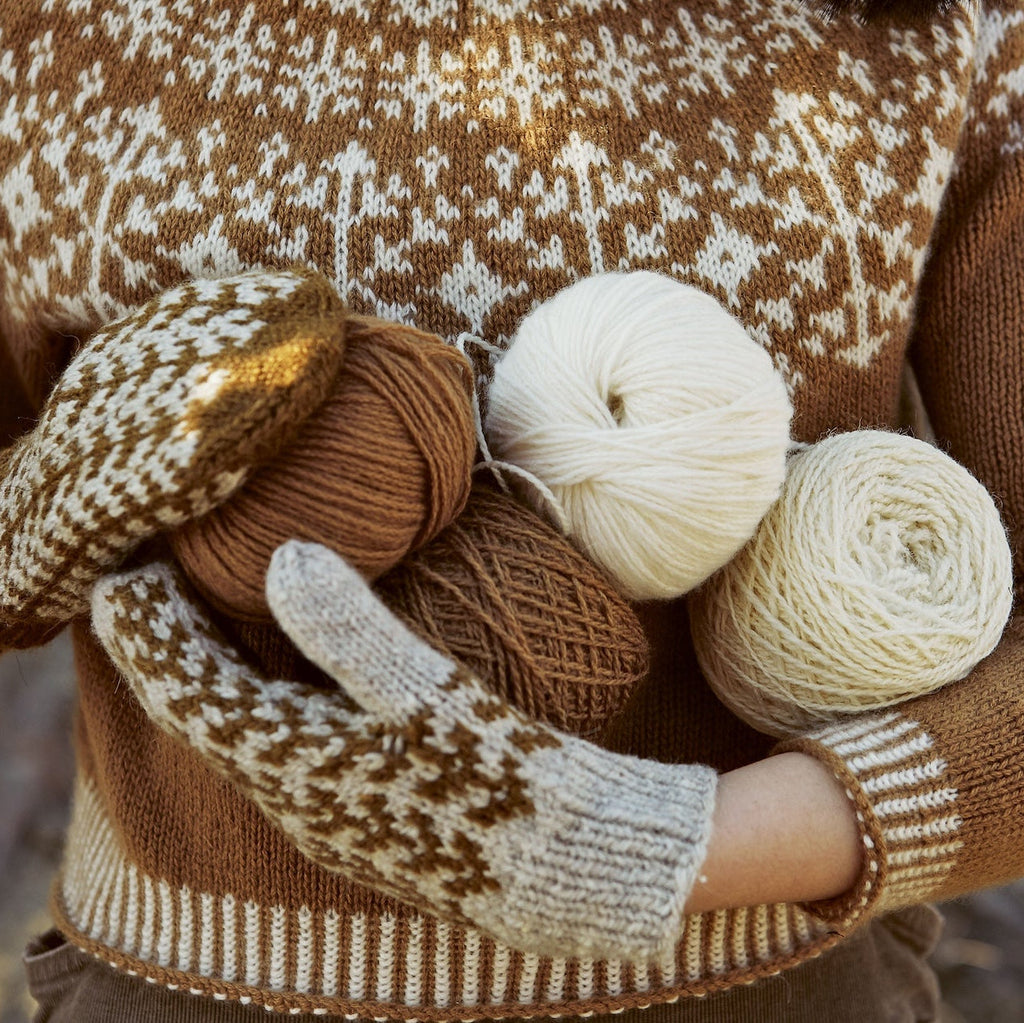 Libro "Tejido Polar" <br> Weichien Chan - The Petite Knitter (Español)