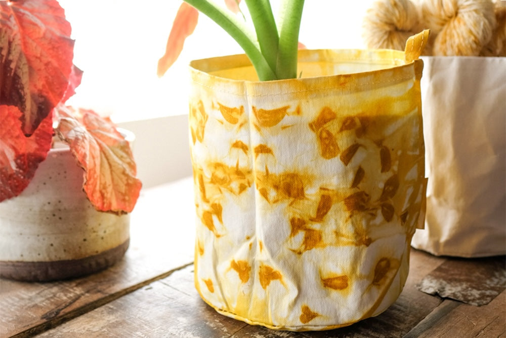 Cesta de Almacenaje <br> Kraft Bin (Elegir Tamaño)