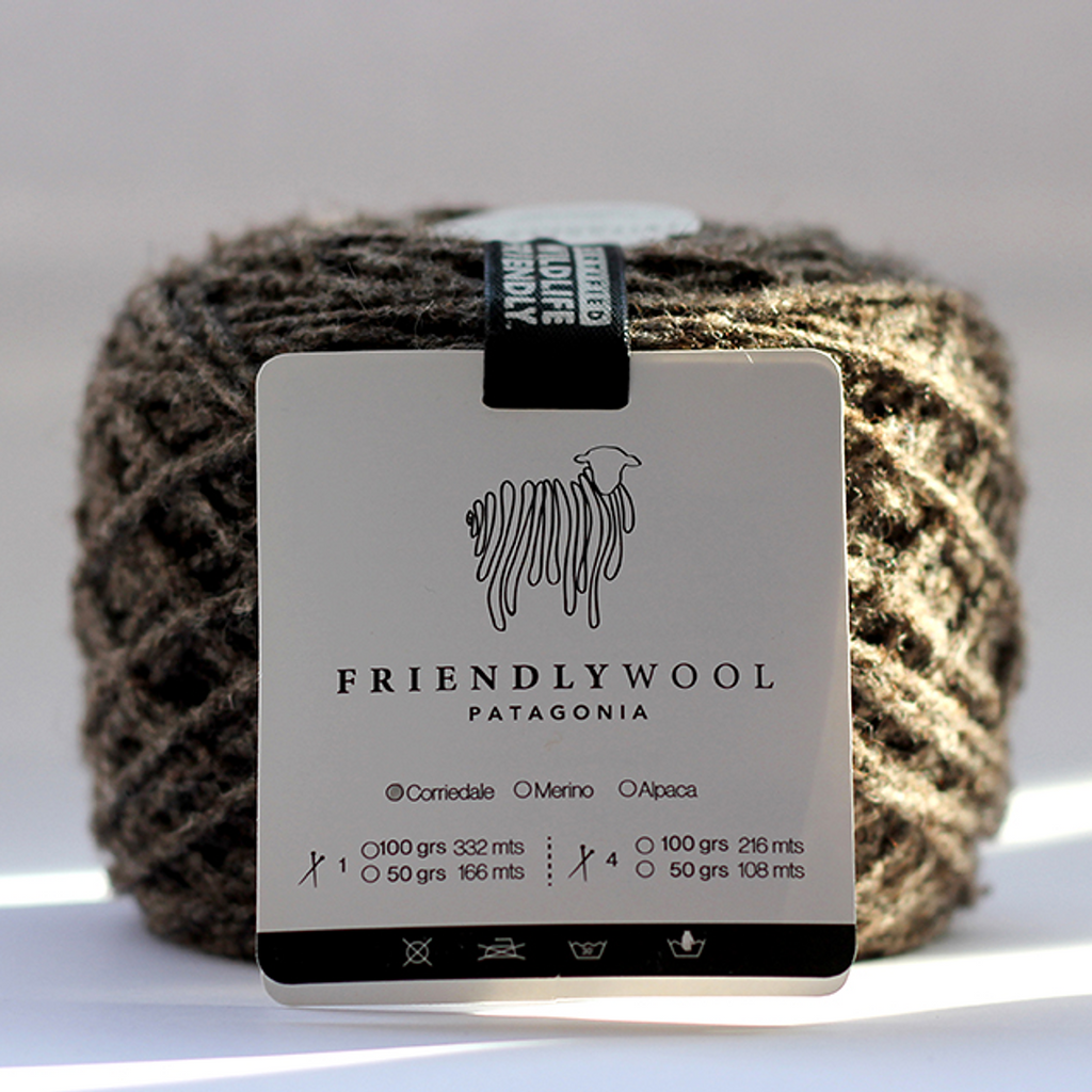 Friendly Wool DK <br> (100% Oveja Corriedale)